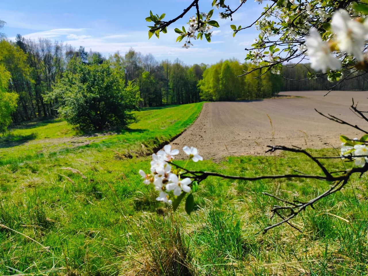 Działka budowlana Łaziska Górne Centrum. Zdjęcie 1
