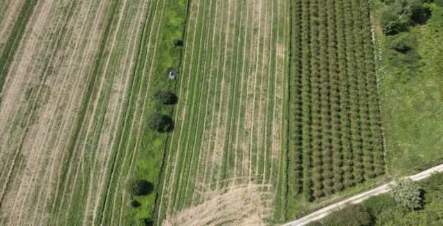 Działka budowlana Kraśnik Kwiatkowice. Zdjęcie 2