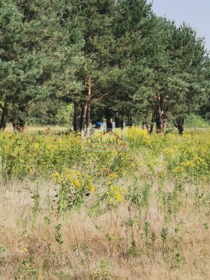 Działka budowlana Prażmów. Zdjęcie 4