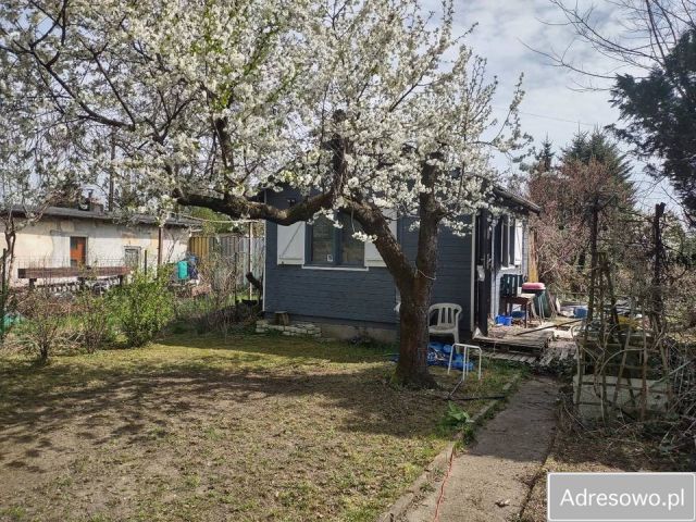 Działka rod Poznań Winiary, ul. Dojazd. Zdjęcie 1