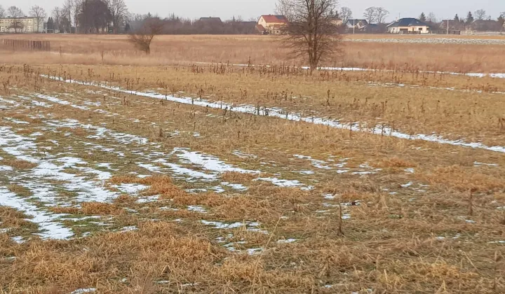 Działka budowlana Guzów