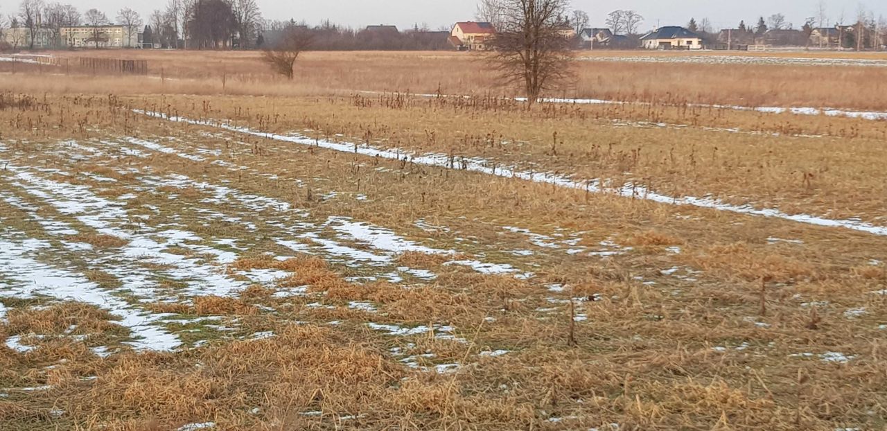 Działka budowlana Guzów. Zdjęcie 1