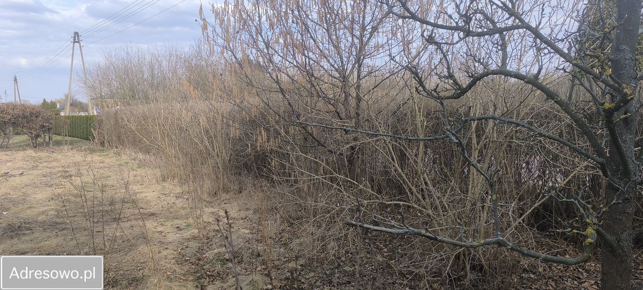 Działka budowlana Terespol, ul. Bolesława Prusa. Zdjęcie 13