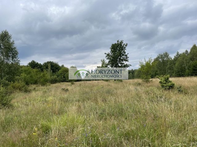 Działka Nowa Wieś Przywidzka. Zdjęcie 9