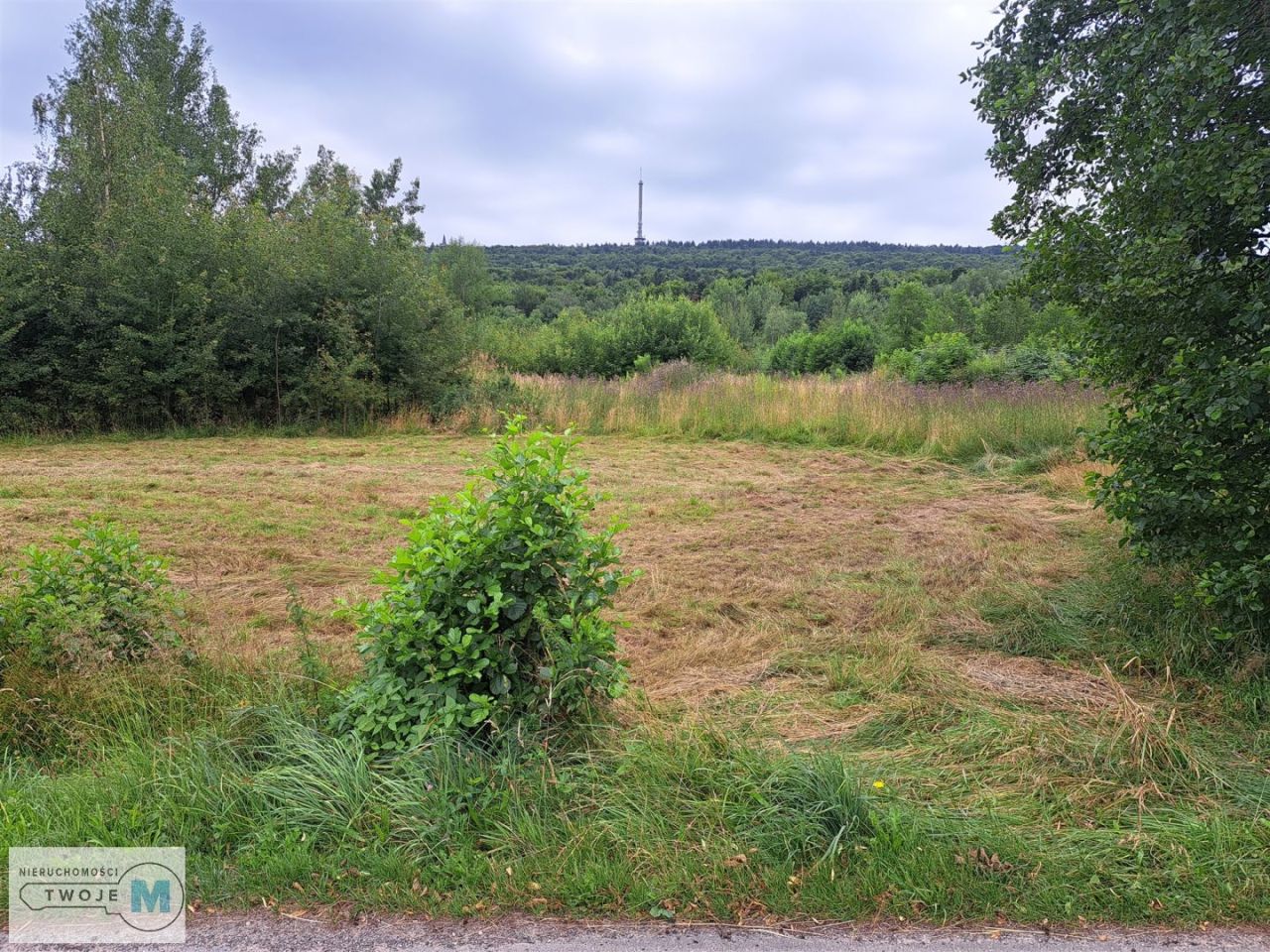 Działka siedliskowa Hucisko. Zdjęcie 4