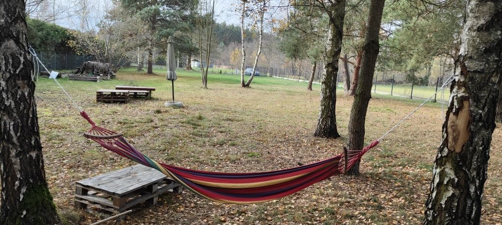 Działka rolno-budowlana Antoniew. Zdjęcie 5