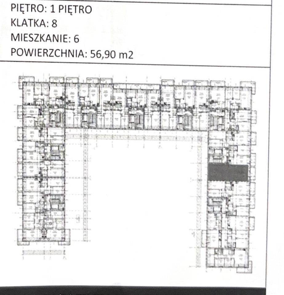 Mieszkanie 3-pokojowe Zielona Góra, ul. Szlachecka. Zdjęcie 12