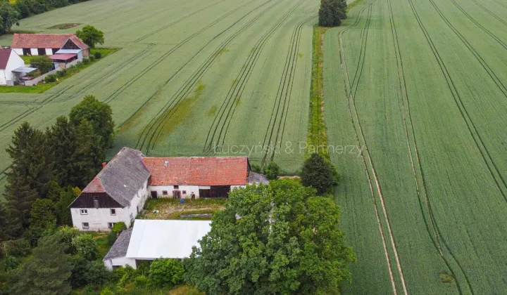 Działka siedliskowa Nowa Wieś Złotoryjska