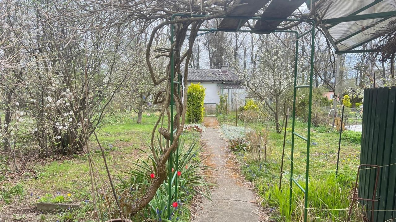 Działka rod Wrocław Śródmieście. Zdjęcie 5