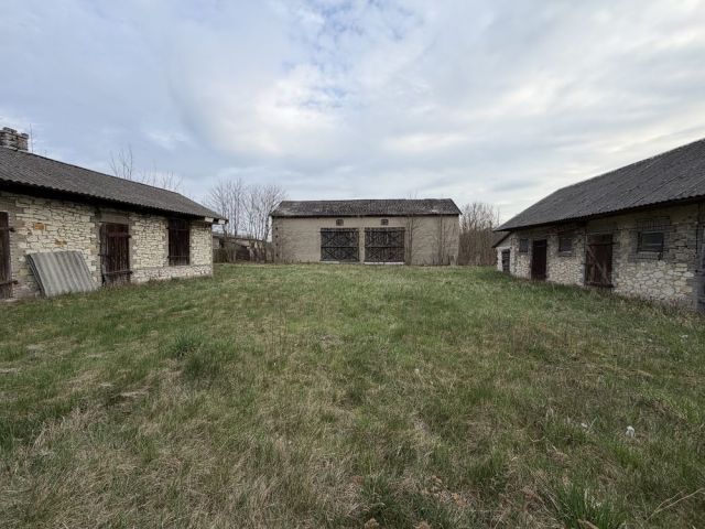 Działka rolno-budowlana Pająków. Zdjęcie 1