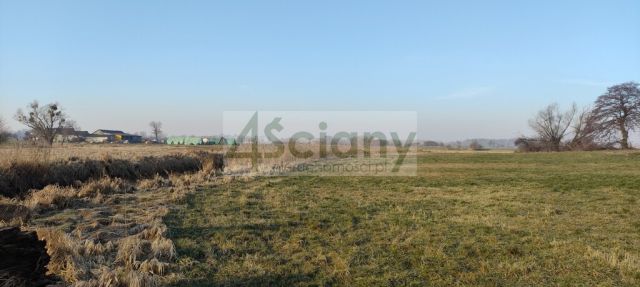 Działka rolno-budowlana Cholewy. Zdjęcie 1