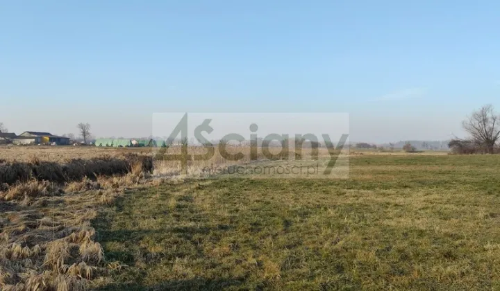 Działka rolno-budowlana Cholewy