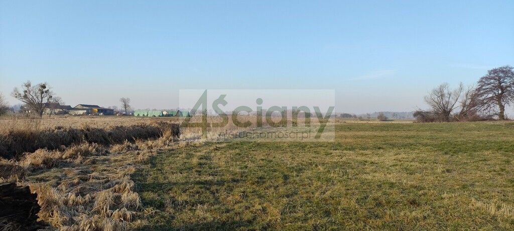 Działka rolno-budowlana Cholewy