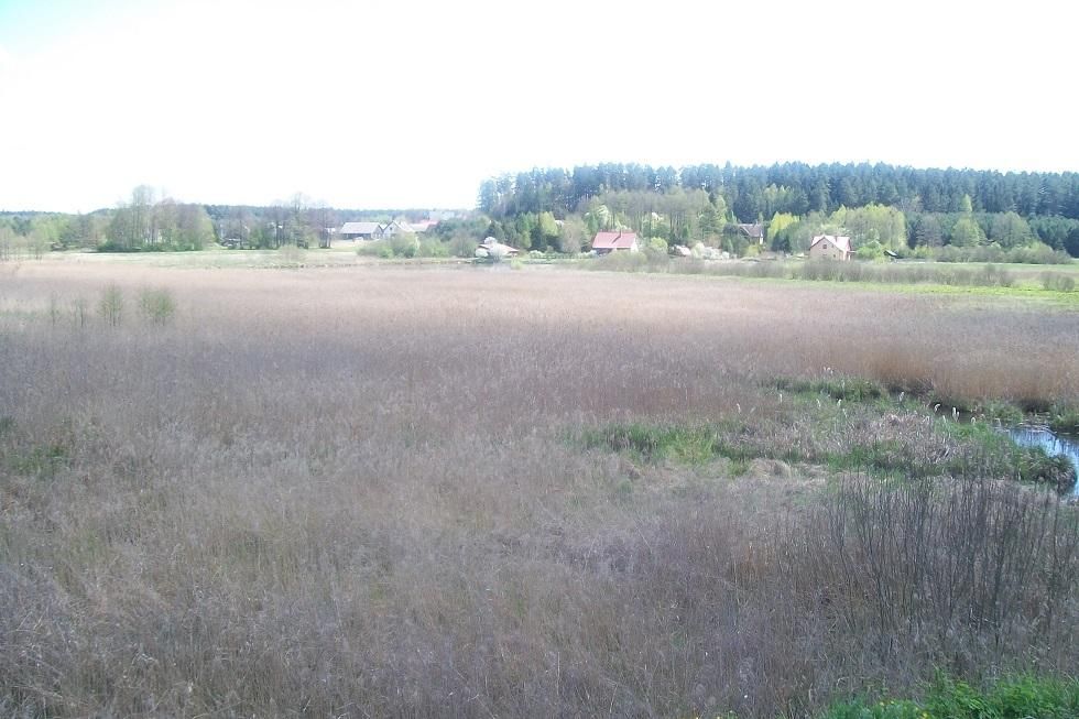 Działka rolna Złota Wieś. Zdjęcie 2