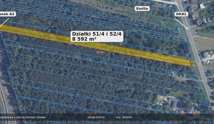 Działka inwestycyjna Emilia, Przy DK91