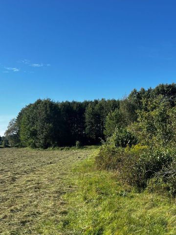 Działka budowlana Dziektarzewo. Zdjęcie 1