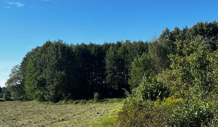 Działka budowlana Dziektarzewo
