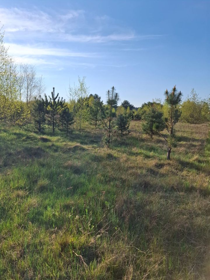 Działka budowlana Gorzów Wielkopolski, Brak. Zdjęcie 3