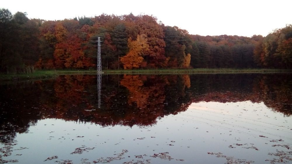 Działka rolno-budowlana Golczewo. Zdjęcie 6