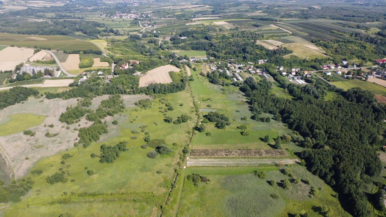Działka rolna Dacharzów. Zdjęcie 3