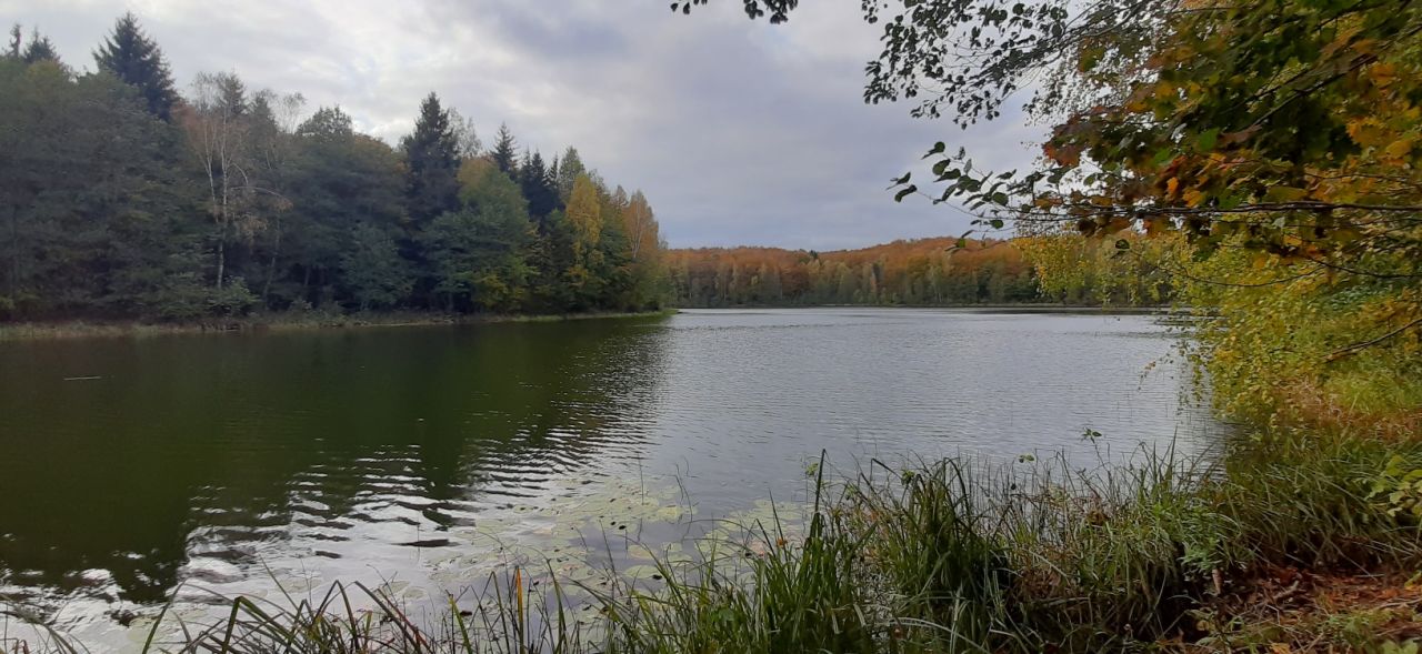 Działka rolno-budowlana Warkałki. Zdjęcie 13