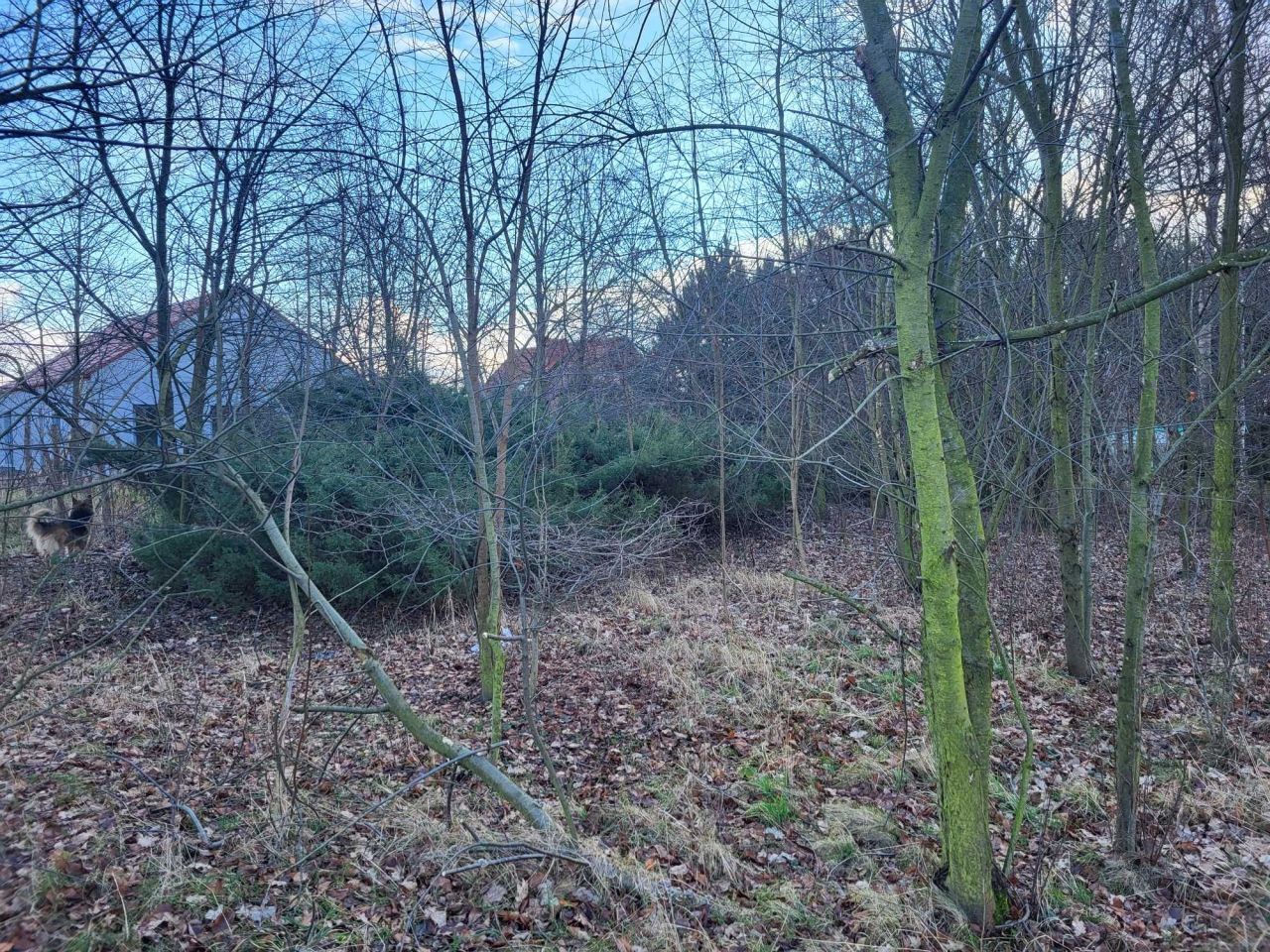 Działka budowlana Sadowice. Zdjęcie 4