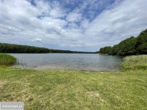 Działka budowlana Dołgie. Zdjęcie 3