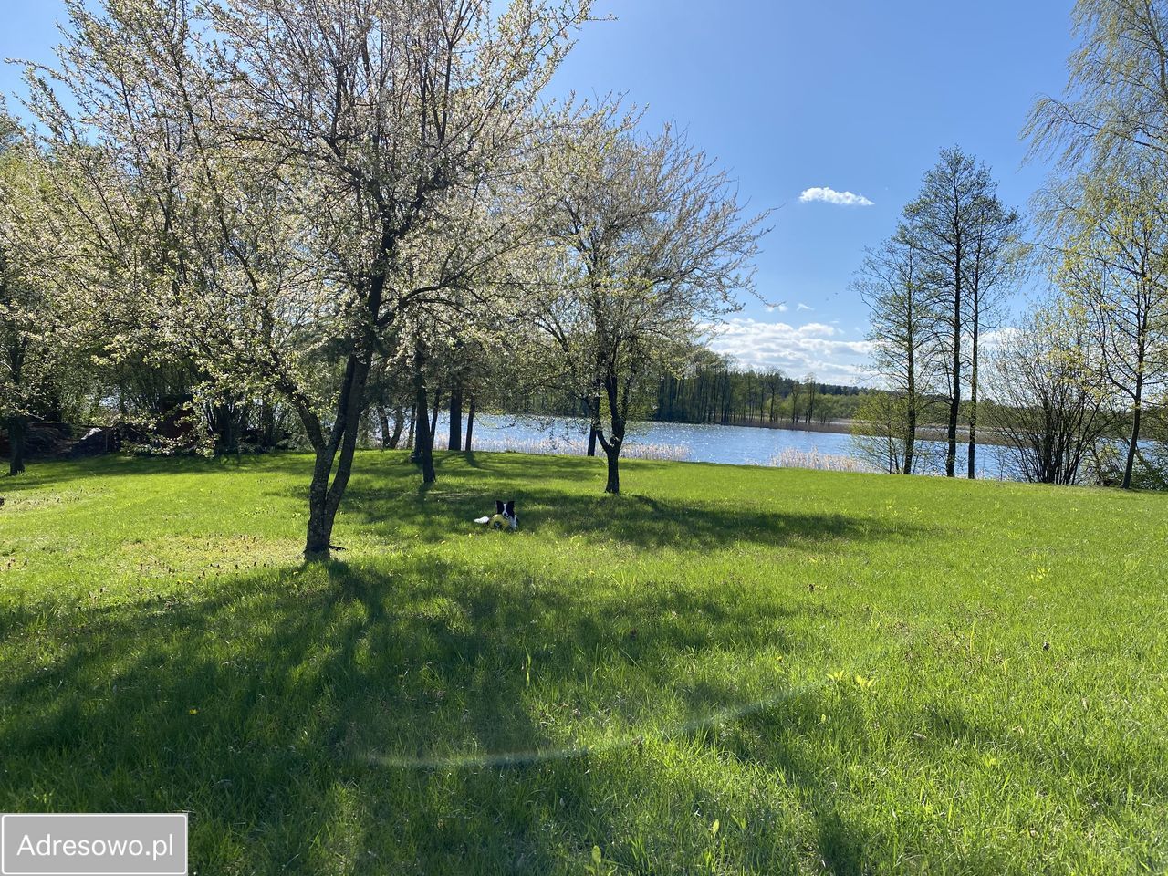 Działka budowlana Stare Kiejkuty. Zdjęcie 9