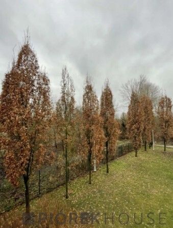 Mieszkanie 3-pokojowe Warszawa Białołęka, ul. Żeglugi Wiślanej. Zdjęcie 17