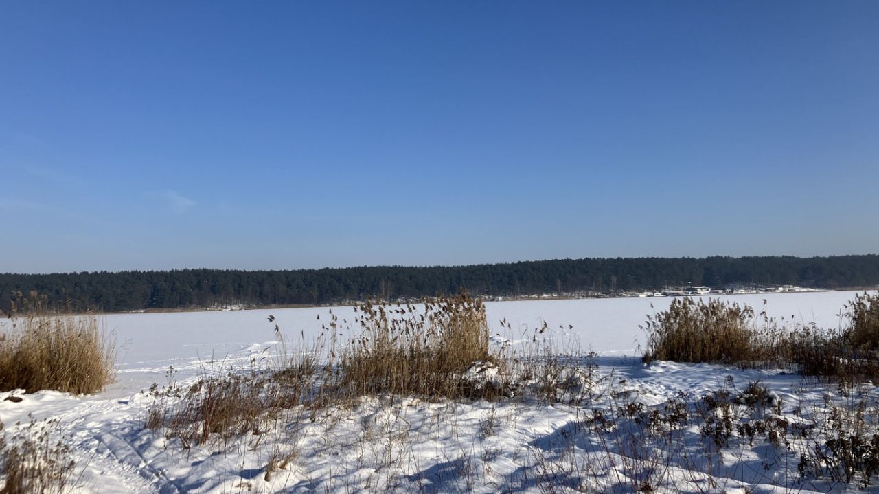 Działka budowlana Wieliszew, ul. Ptasia. Zdjęcie 6