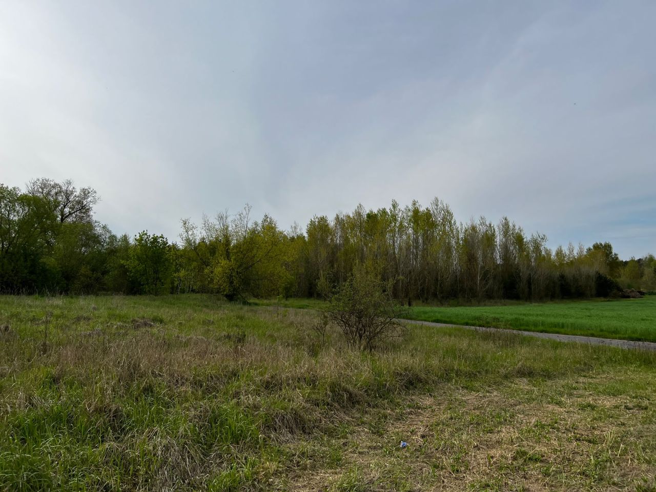 Działka rolna Kolsko, Kolsko. Zdjęcie 7