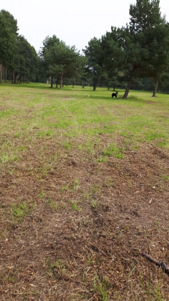 Działka budowlana Siechnice. Zdjęcie 4