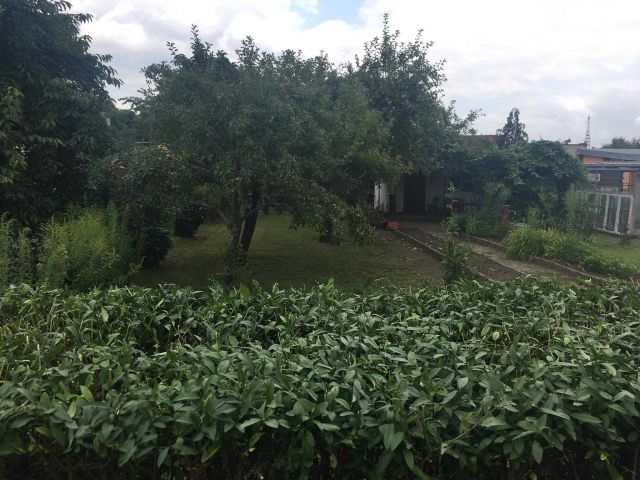 Działka rekreacyjna Września, ul. Działkowców. Zdjęcie 1