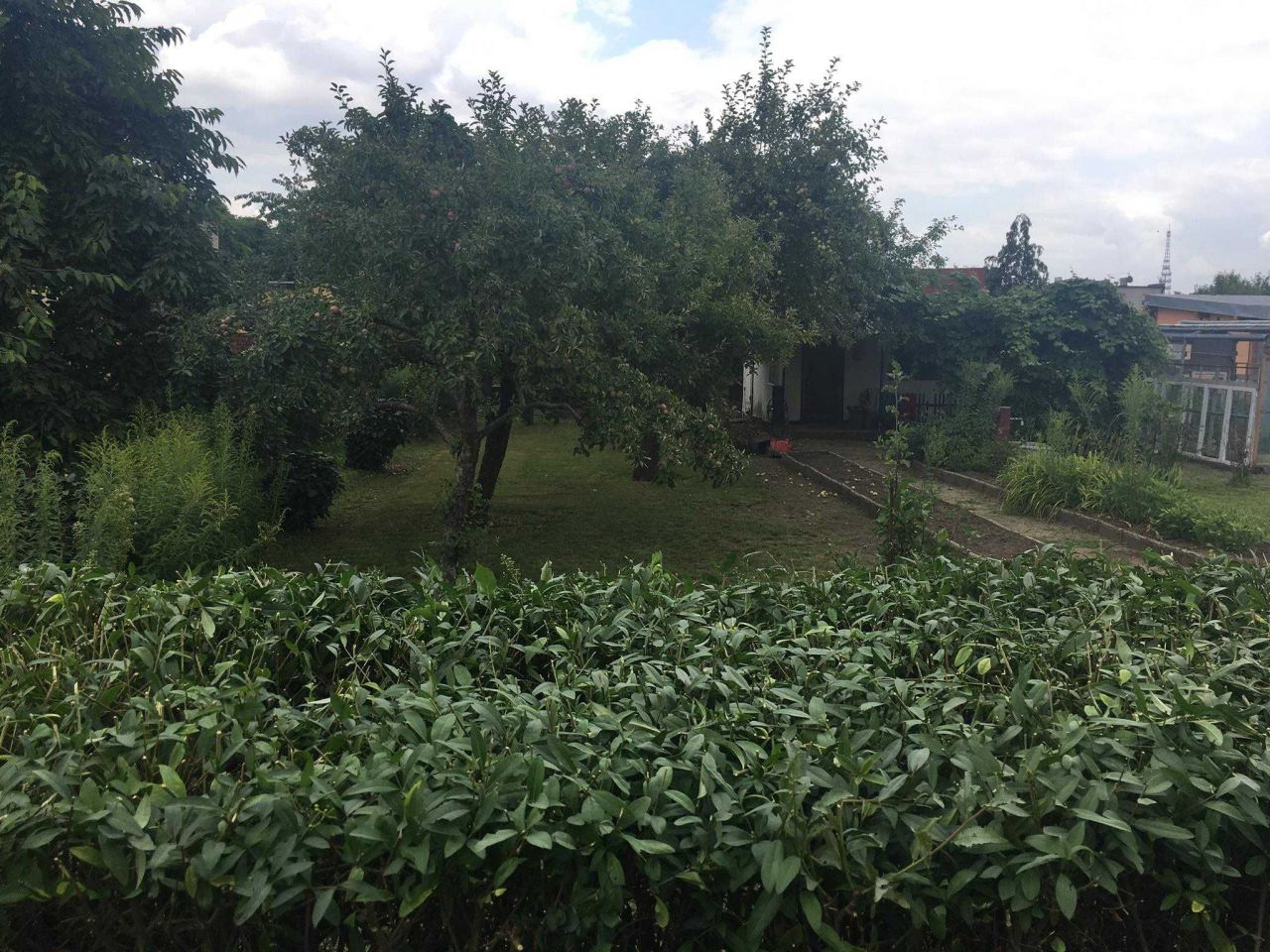 Działka rekreacyjna Września, ul. Działkowców. Zdjęcie 1