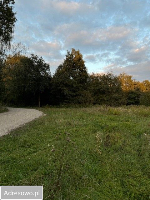 Działka budowlana Strzelce. Zdjęcie 2