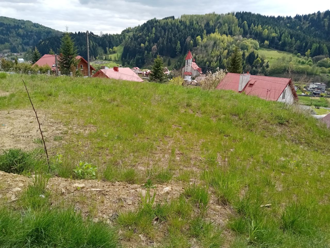 Działka budowlana Muszyna Wapienne, ul. Leśna. Zdjęcie 6