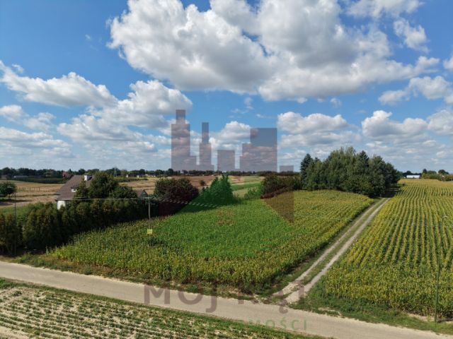 Działka budowlana Płouszowice-Kolonia. Zdjęcie 6