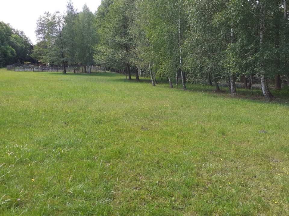 Działka rekreacyjna Naguszewo. Zdjęcie 4