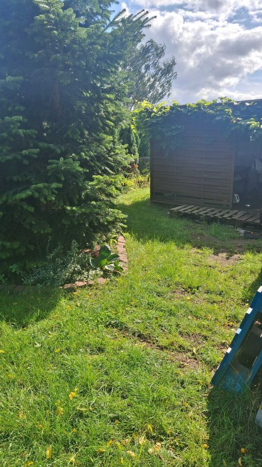 Działka rod Rumia, ul. Kazimierska. Zdjęcie 6