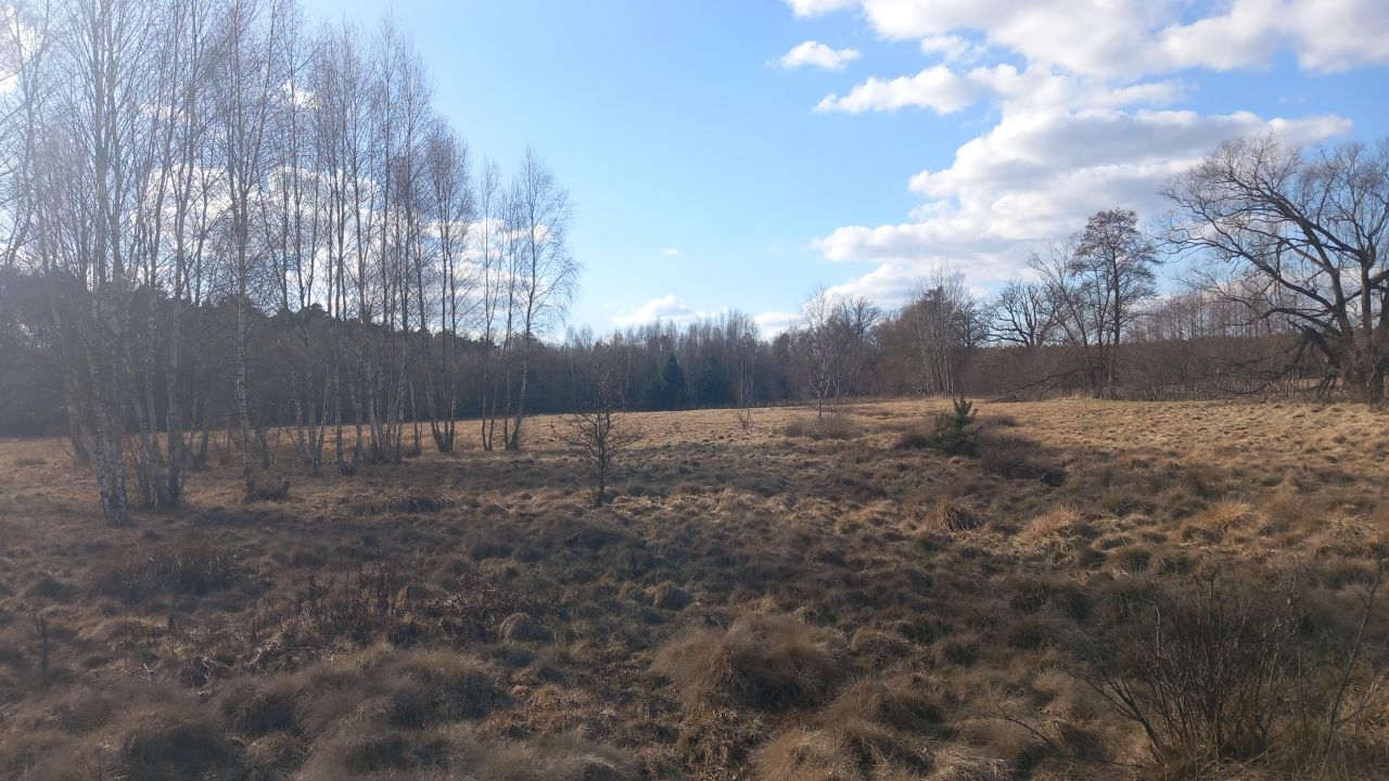 Działka rolna Zielona Góra Jarogniewice, ul. Jarogniewice. Zdjęcie 6