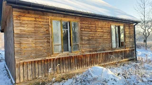 Działka siedliskowa Jagodne. Zdjęcie 7