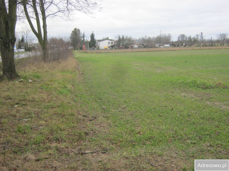 Działka budowlana Czernikowo, ul. Toruńska. Zdjęcie 3