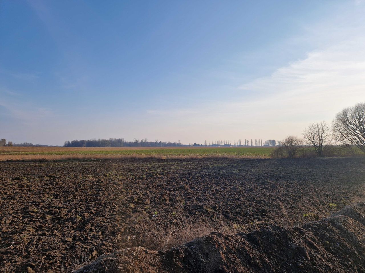 Działka budowlana Szamotuły, ul. Jastrowska