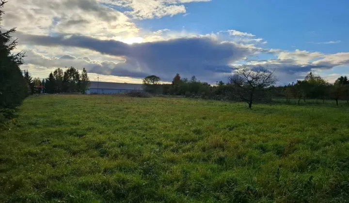 Działka budowlana Osiek