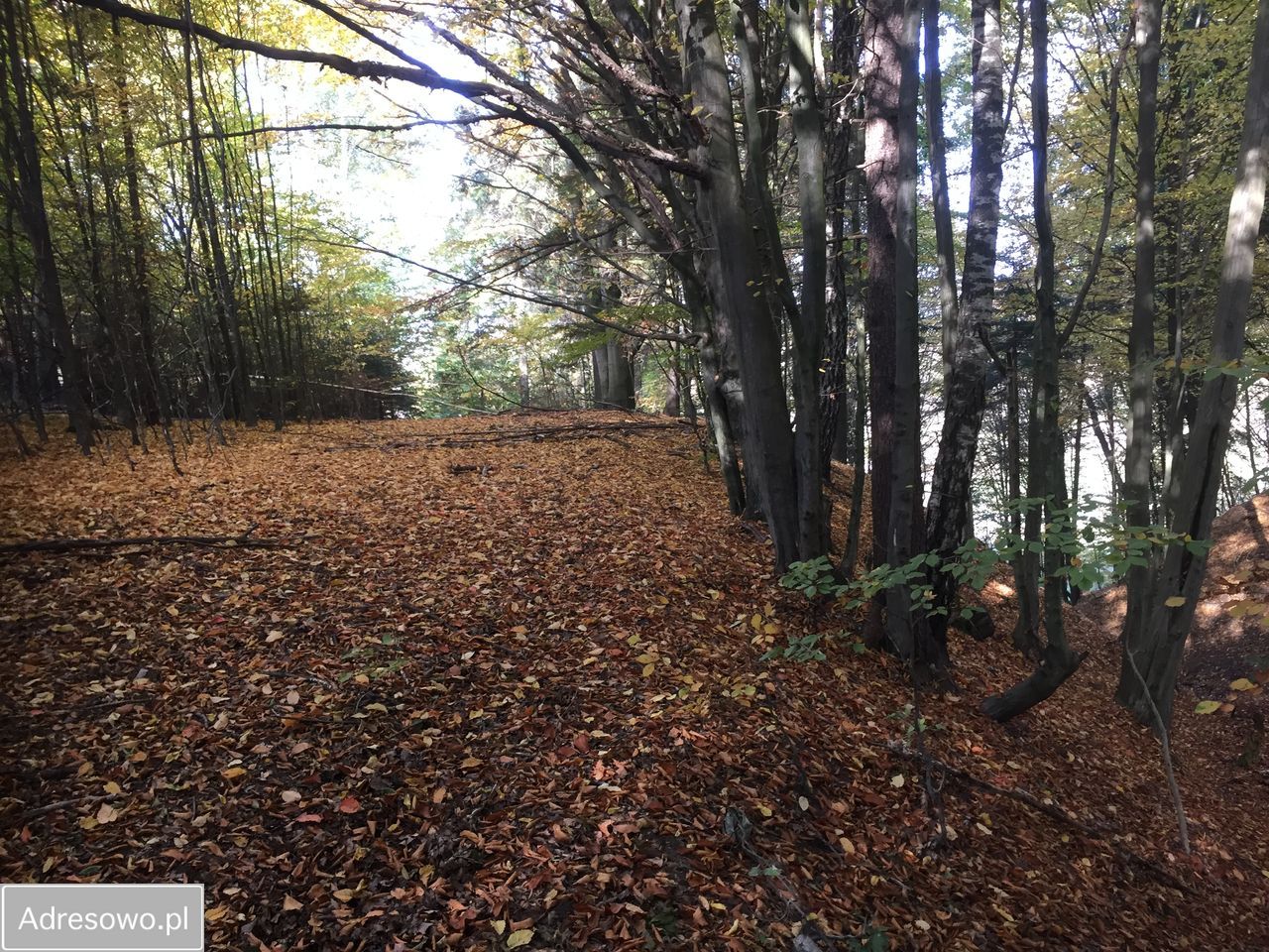 Działka budowlana Spręcowo. Zdjęcie 6