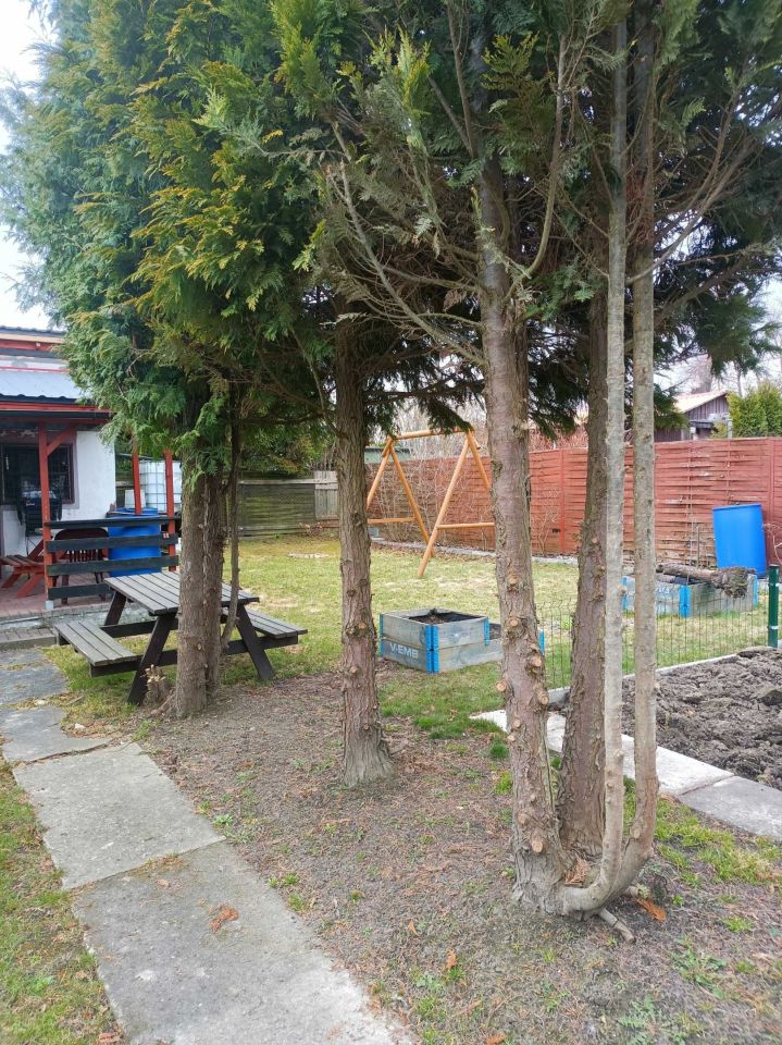 Działka rod Tczew Czyżykowo. Zdjęcie 2