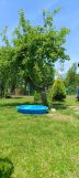 Działka rod Proszowice. Zdjęcie 2