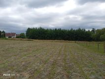 Działka rolno-budowlana Jarnołtówek. Zdjęcie 4