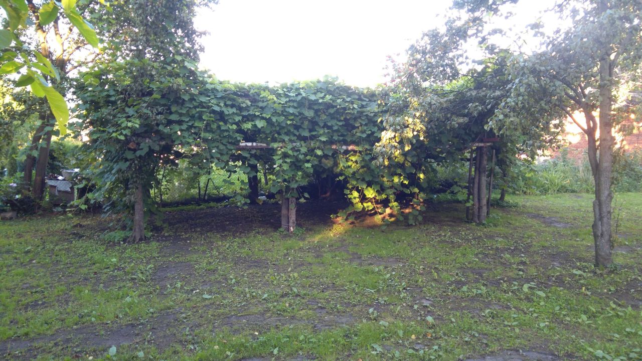 dom wolnostojący Jordanów. Zdjęcie 3