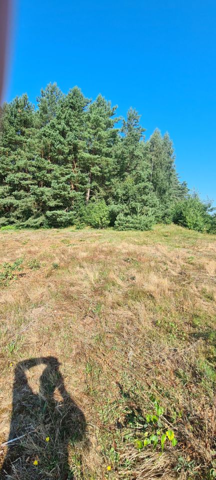 Działka rolno-budowlana Bobrownik. Zdjęcie 4